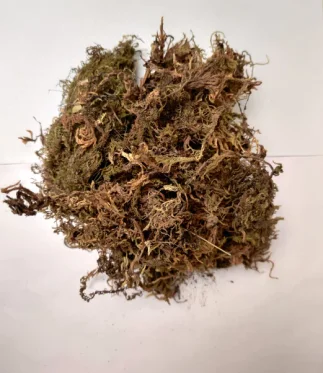 2-Kg-Sphagnum-Moss-Growing-Medium-for-Plants.webp