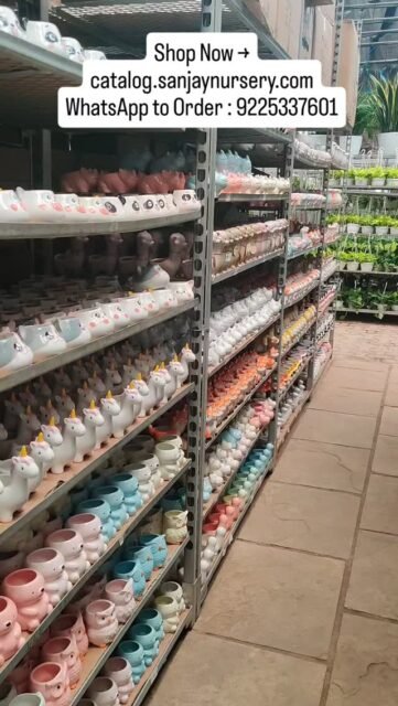 Make your plants smile 😊🌱 Shop our cute animal pots today!
Shop Now →
catalog.sanjaynursery.com
WhatsApp to Order : 9225337601
#indoorplants #viralreels #explorepage✨ #explore #