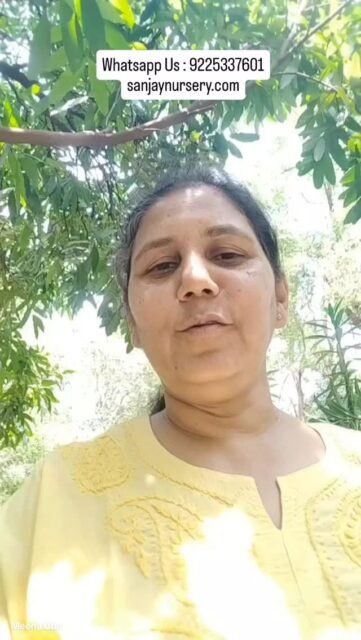 Looking for perfect indoor plants? We’ve got you covered 🌿💚Whatsapp Us for more deatils 9225337601
sanjaynursery.com
#reelkrofeelkro❤️reelitfeelit #viralreels #explore #instagood