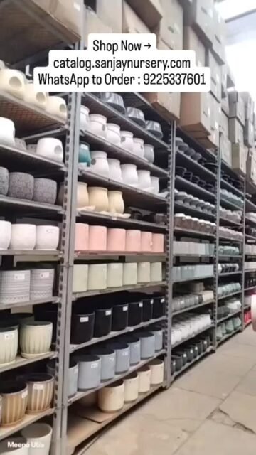 Looking for the perfect home for your green friends? 🪴✨
Sanjay Nursery is back with a stunning collection of Ceramic Pots in all shapes and sizes! From chic, minimalist designs to vibrant, eye-catching colors, we’ve got something to elevate every corner of your home and garden. 🏡🌸
🌟 Why you’ll love them:
✅ Premium finish & stylish designs
✅ Durable & long-lasting quality
✅ Affordable prices
✅ Perfect for indoor & outdoor use
Give your plants the stylish home they deserve! 🪴✨
📞 Contact us today at the number on the screen to grab your favorites!
Shop Now → catalog.sanjaynursery.com
WhatsApp to Order : 9225337601
#CeramicPots #HomeDecor #GardenInspiration #PlantLove #SanjhaNursery InteriorDesign SustainableLiving PlantParent HomeGarden DecorIdeas Gardening IndianNursery PotteryLove
