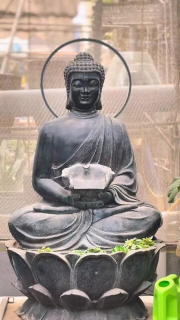 KEEP DRIVING WITH PLANT'S🪴🌿
.
.
.
.
.
.
.
.
.
.
.
.
.
.
.
.
.
.
.
.
.
.
#explore #viralreels #plants #nurselife #5seconds