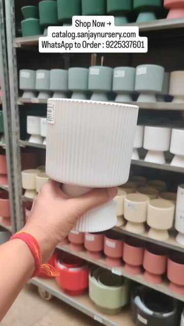 Upgrade your space with premium ceramic pots 🏡✨
Perfect for indoor plants, succulents & modern home decor.
Shop durable, stylish planters that elevate every corner.

Shop Now → catalog.sanjaynursery.com
WhatsApp to Order : 9225337601

#CeramicPots #IndoorPlantsIndia #PlantersIndia #HomeDecorIndia #GardenDecor PlantLovers ModernPlanters IndoorGarden PlantStyling SanjayNursery