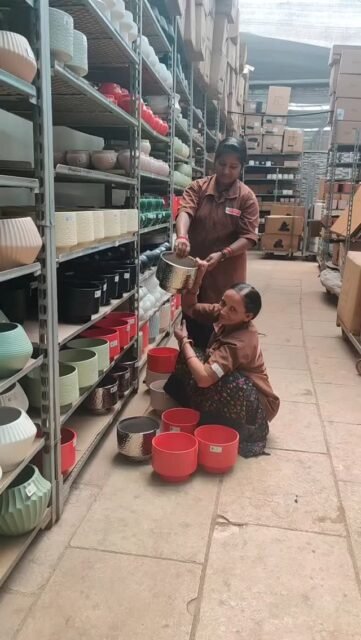 From our nursery to your home — safely packed with love 💚📦
Every ceramic pot is carefully wrapped to ensure it reaches you in perfect condition ✨
✔️ Premium Quality Ceramic
✔️ Damage-Proof Packaging
✔️ Ready to Elevate Your Space

Style effortlessly. 🌱

Shop Now → catalog.sanjaynursery.com
📲 WhatsApp to Order: 9225337601

#CeramicPots #PlantLoversIndia #SafeDelivery #HomeDecorIndia #IndoorPlants Planter