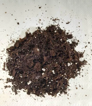General-Potting-Mix-for-Plants-2-Liters.webp