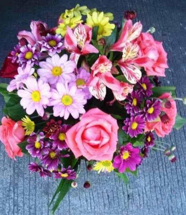 Gloxinia-Gt-Multiflora-Mix-Pack-of-25-Flower-Bulbs.webp