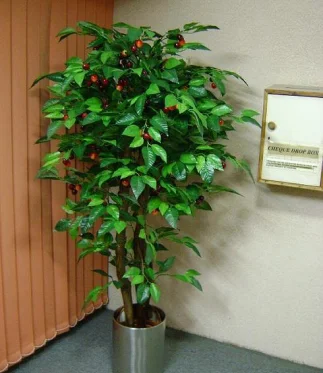Rectangle-220Artificial-Plants