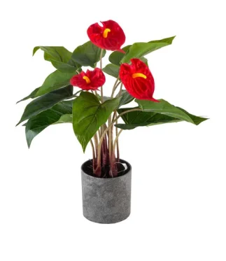 Rectangle-221Artificial-Plants