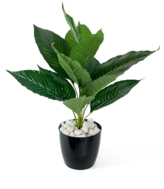 Rectangle-223Artificial-Plants