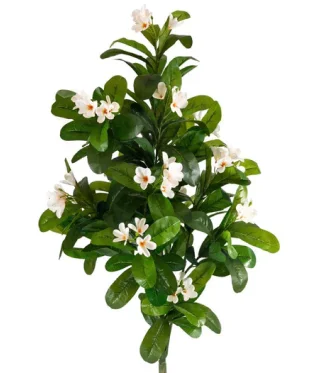 Rectangle-224Artificial-Plants