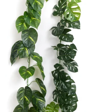 Rectangle-233Creepers-Artificial-Plants