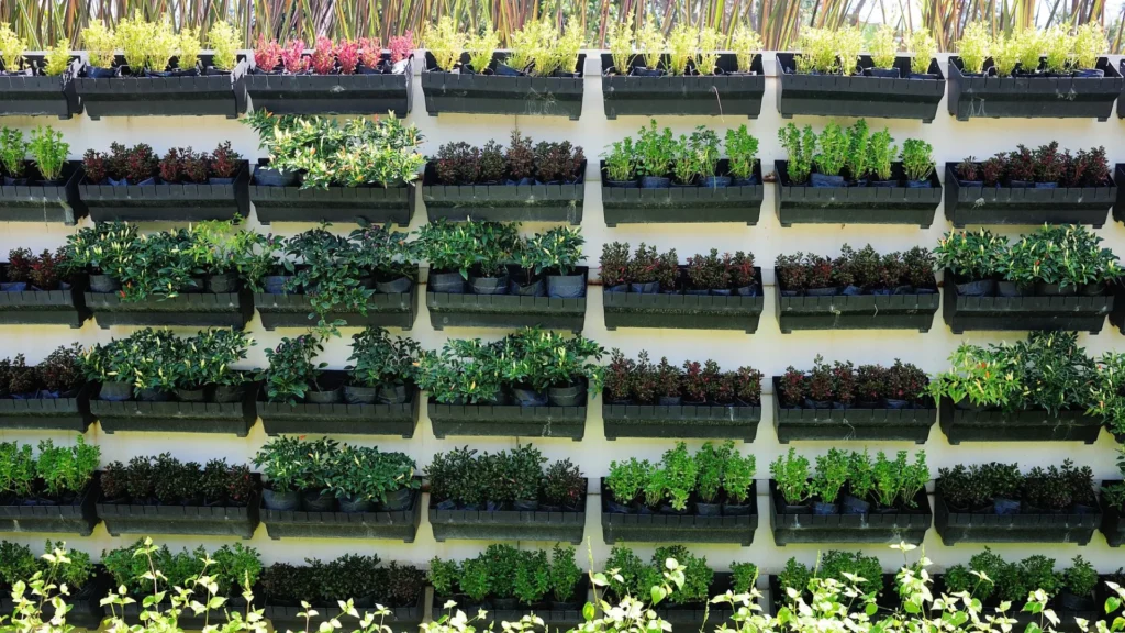 Vertical garden wall with ornamental foliage plants in a modern office green wall installation
