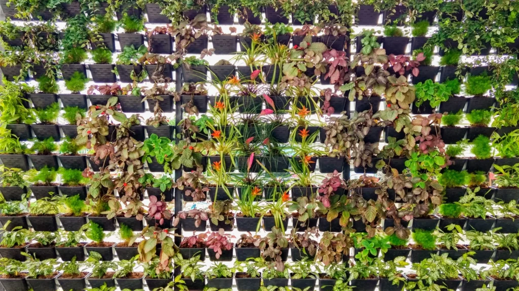 Vertical garden wall with lush indoor foliage plants installed in a modern office workspace