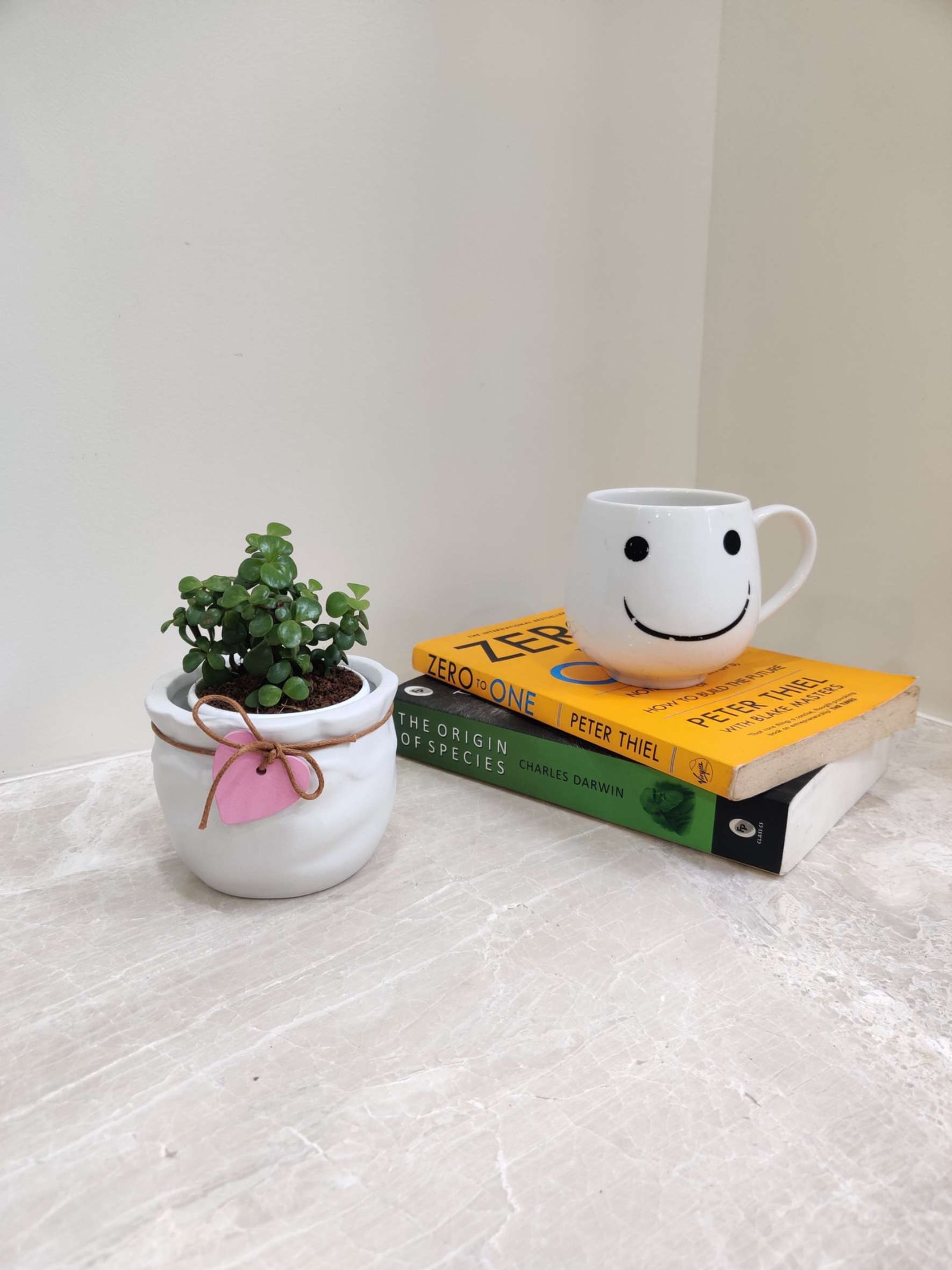 Small jade plant in a white ceramic pot with a heart design, placed beside self-help books and a white smiley-face mug on a marble table