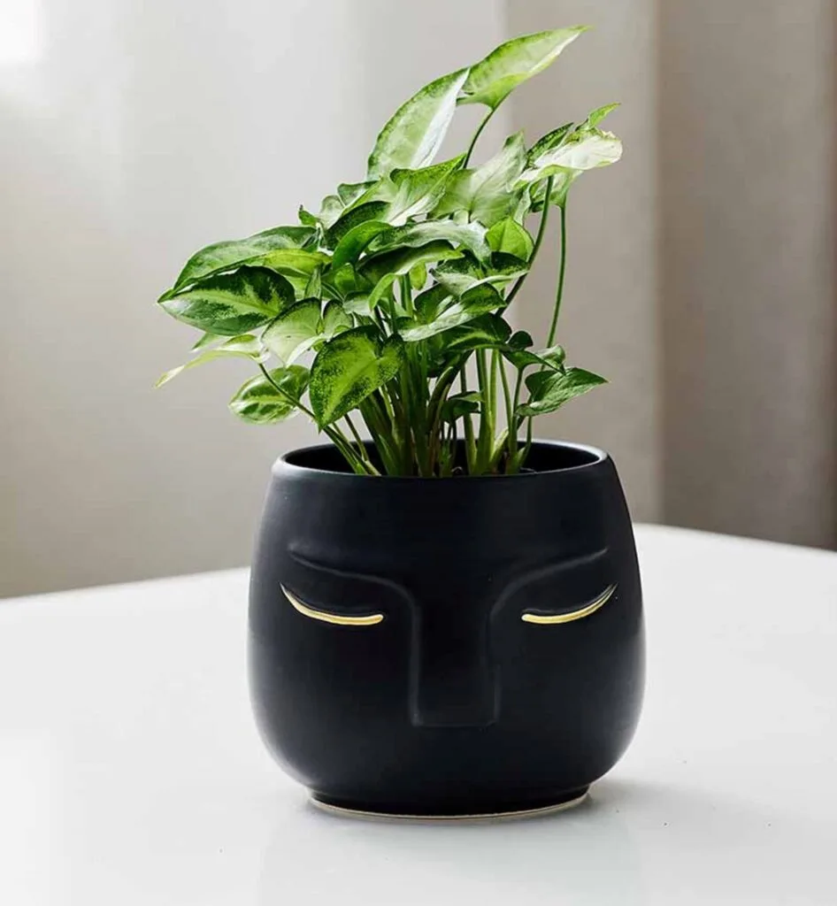 Stylish black ceramic face planter with gold accents, perfect for modern home decor and indoor plants.