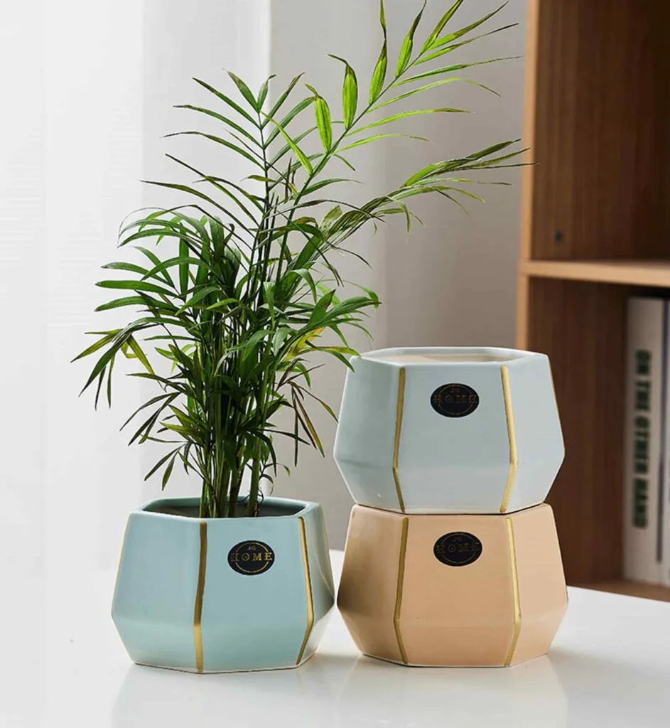 Elegant hexagonal ceramic pots with gold accents, perfect for indoor plants and home decor.