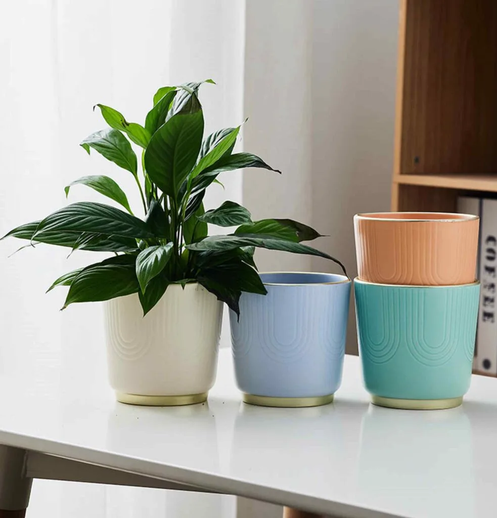 Stylish pastel ceramic planters with gold rim, perfect for modern indoor plant décor.