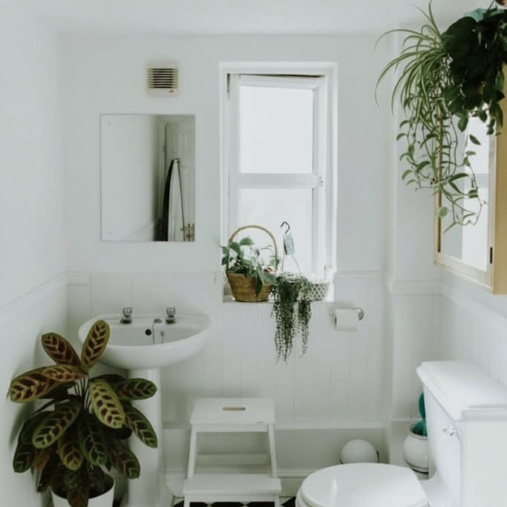 Stylish minimalist bathroom featuring easy care indoor plants in woven baskets adding freshness and natural beauty.