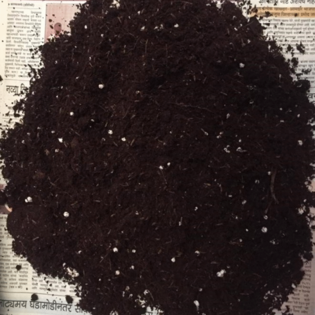 Potting soil fortified with perlite for improved drainage and aeration.