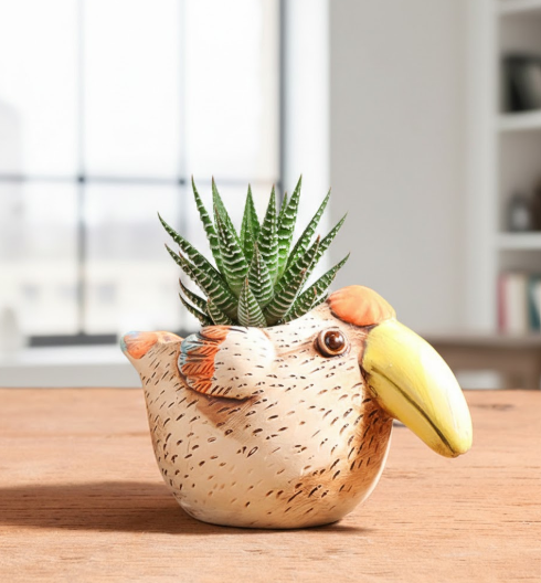 Succulent plant in a bird-shaped decorative ceramic pot for home and office décor